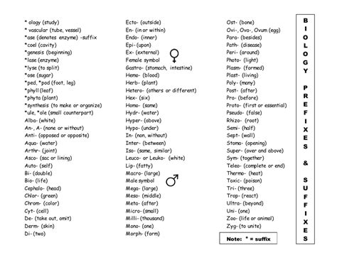 List Of Biological Prefixes Suffixes