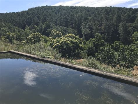 Maybe you would like to learn more about one of these? Finca para Recreo en el Valle del Tietar - Fincas Rusticas ...
