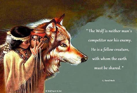 W Amn Native American Wolf Spirit Animal Wolf Spirit