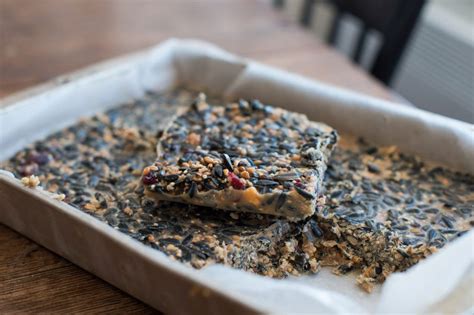 Putting out bird seed cakes is a great way to attract all kinds of birds to your yard. How to Make Homemade Bird Suet Cakes (With images) | Suet ...