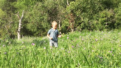 Little Boy Walking Alone In Forest Stock Footage Video 4363367