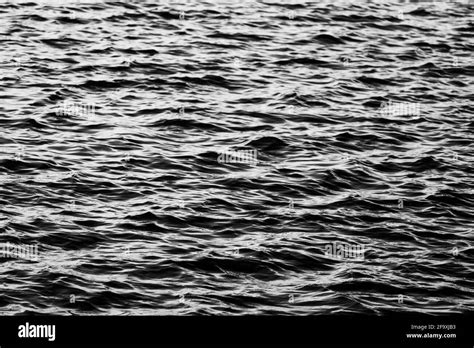 Lake With Ripples Black And White Water Surface Texture High Quality