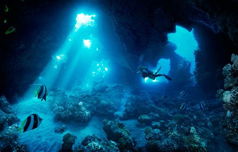 Erik Almas Cave Photos Underwater Caves Sea Cave Become A