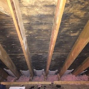 Vapor barriers are essential to help keep unwanted, potentially damaging moisture from seeping into your home. Do I Need Vapor Barrier In Ceiling | Nakedsnakepress.com