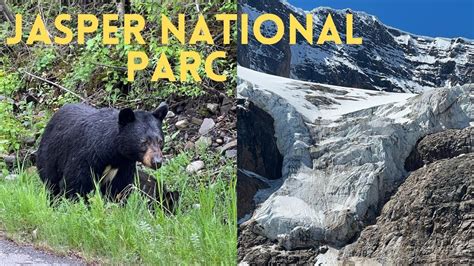 Episode Jasper National Parc Youtube