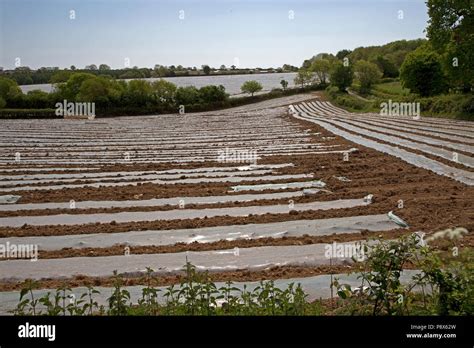 Farming Plastic Waste Hi Res Stock Photography And Images Alamy