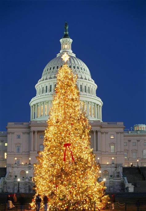 Capital Dc National Christmas Tree Christmas Tree Stand Beautiful
