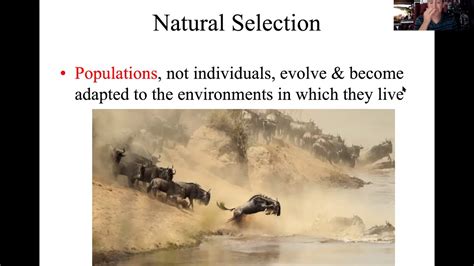 Evolution Natural Sexual Selection Lecture Video Youtube