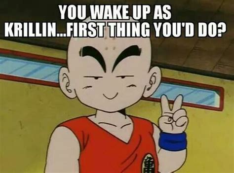 What Would You Do If You Were Krillin Fandom