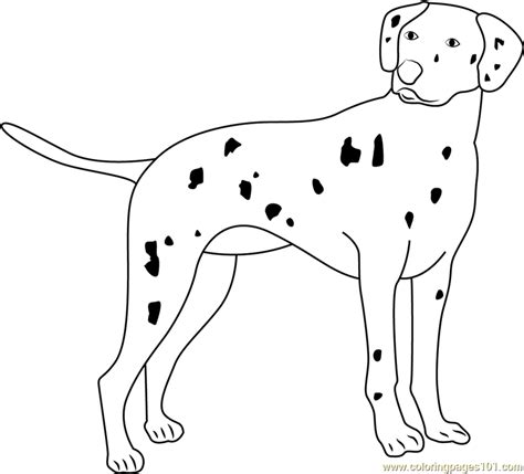 Cute Dalmatian Dog Coloring Page Free Printable Coloring
