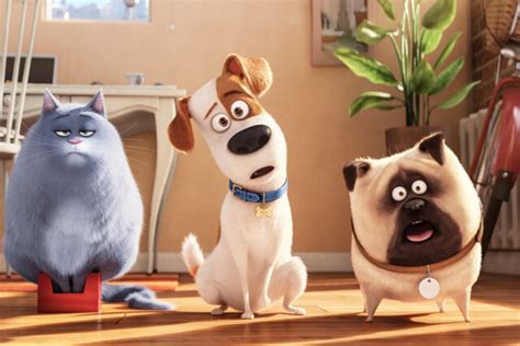 13 Great Dog Movies Everyone Needs To Watch