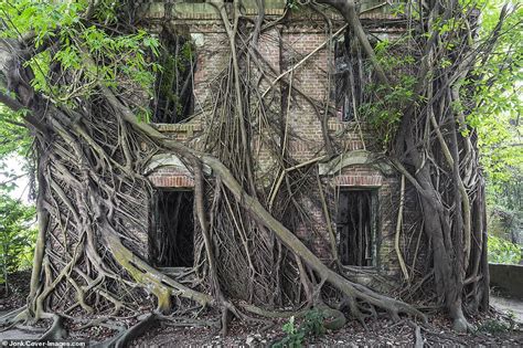 Abandoned Buildings Around The World Now Teeming With Plant Life After