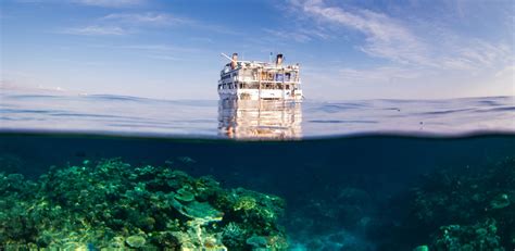 Liveaboard Snorkeling Tours Are A Wonderful Way To Explore The Gbr