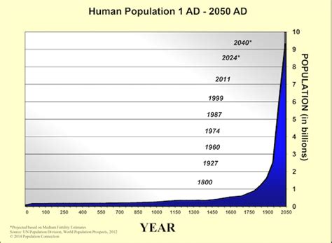 More Attention To The Effects Of World Population Growth Is Needed In