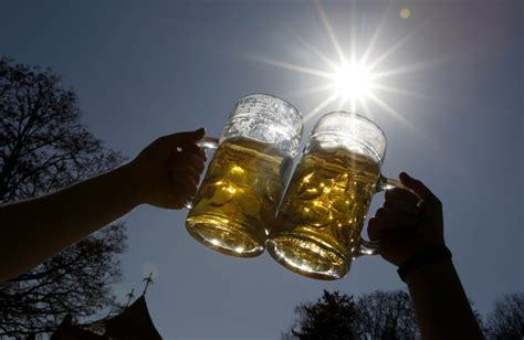 Say Cheers With Beer And Sharpen Up Your Mind Says Research Ibtimes