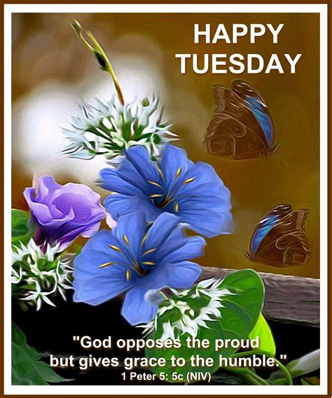 We did not find results for: Happy Tuesday Blessings...Good Morning