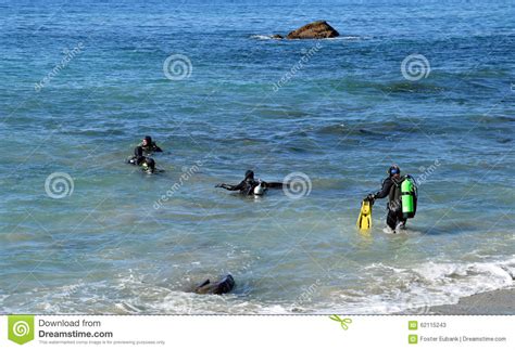 Scuba Divers At Moss Street Cove Laguna Beach California Editorial