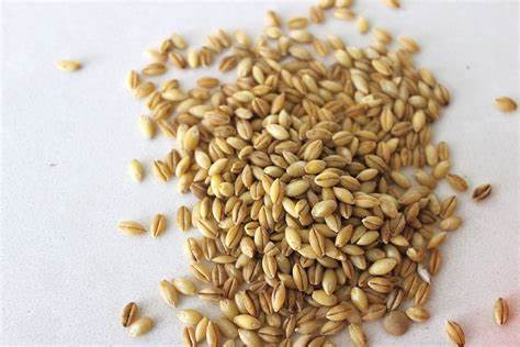 Какие каши можно при диетах