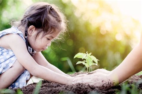 Cuidemos El Planeta 10 Reglas De Oro Para Enseñar A Los Niños