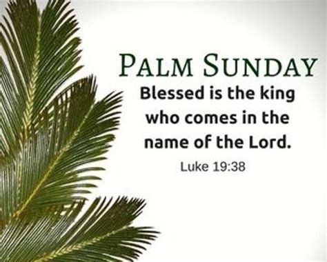 Kyla Quotes Sunday Quotes Palm Sunday 2022