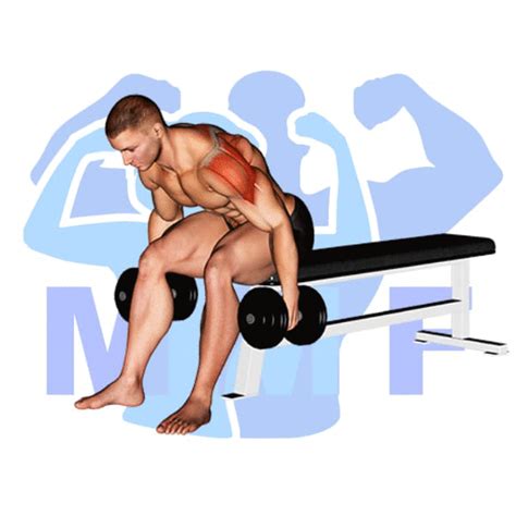 Seated Dumbbell Rear Lateral Raise A Go To Exercise For Strong Delts