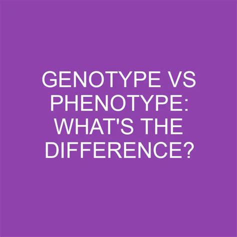 Genotype Vs Phenotype Whats The Difference Differencess