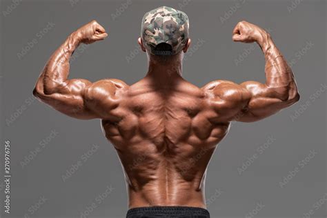 Muscle Of The Whole Body