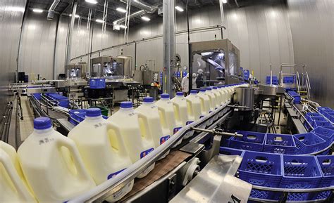 Voting Begins For The 2015 Dairy Plant Of The Year 2015 05 29 Dairy