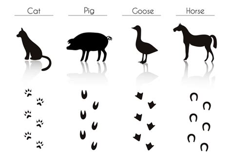 Animals With Footprint Silhouette Vector Material 01 Welovesolo