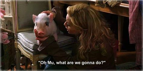 Uptown Girls The Moment I Realized I Wanted To Own A Pig Love This