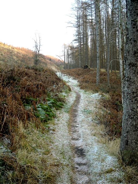 Frosty Path In Glentrool Forest © Iain Thompson Geograph Britain And