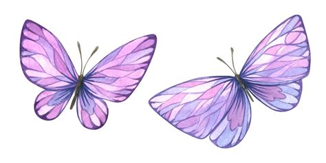Mariposas Lilas Con Elementos Gráficos Estilizados Dos Objetos Acuarela