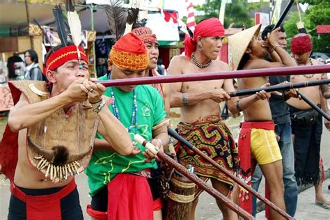 Mengenal Senjata Senyap Mematikan Milik Suku Dayak Indonesia Daily