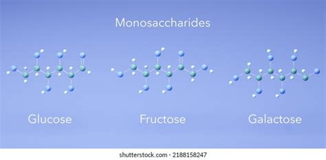 Monosaccharide Glucose Fructose Galactose Molecular Structures Stock