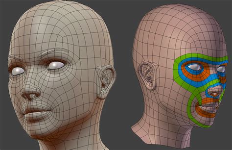 Pin By Dasom Lee On Modelling Face Topology Topology Character Modeling