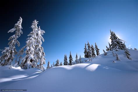 下载壁纸 冬天 雪 树 丘陵 免费为您的桌面分辨率的壁纸 3504x2336 — 图片 №643129
