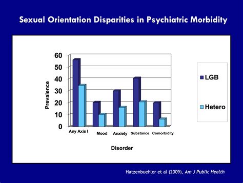 Understanding Mental Health Disparities Among Sexual Minorities