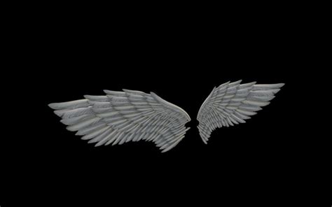 Free Angel Wing Pictures Free Angel Wing Download Free Angel Wing Png