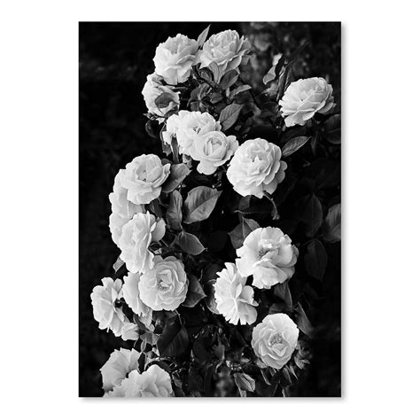 Roses By Sisi And Seb Poster Art Print Americanflat Michaels