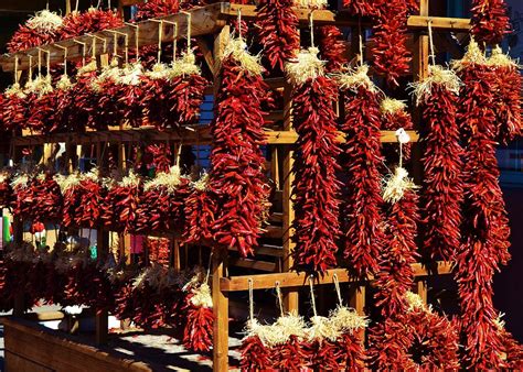 Bright Red Hanging Chili Peppers Display In Santa Fe New Mexico