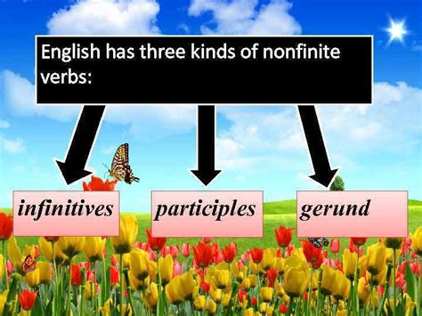 Morphological Classification Of Verbs In Linguistics Morphology