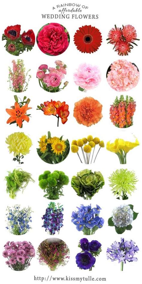 · posted on may 12, 2021. 5 Spring Wedding Themes - Superior Celebrations Blog