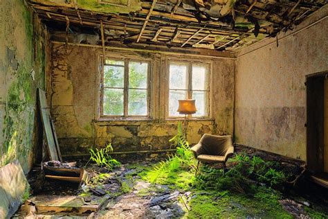 Houseplants Abandoned Houses Abandoned Places Apocalypse Aesthetic