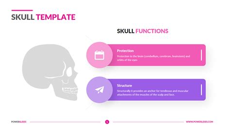 Skull Template Realistic Skulls In Ppt Slides Download And Edit