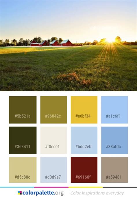 Grassland Sky Field Color Palette