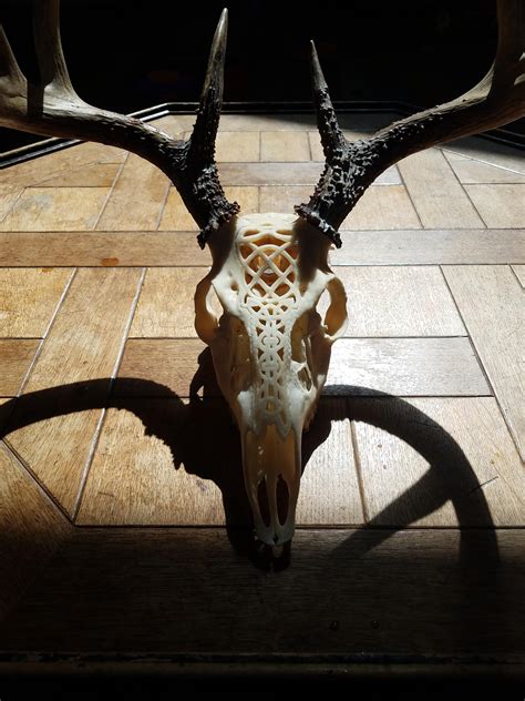 Finished Carving A Deer Skull Today Rskulls