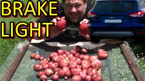 A weed grow box is a complete cultivating area, normally lightweight and smell proof. BRAKE LIGHT Potato Growing How to & Tips - YouTube