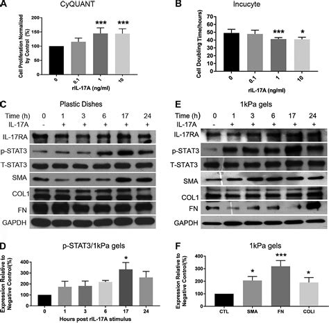 Profibrotic Effect Of Il 17a And Elevated Il 17ra In Idiopathic