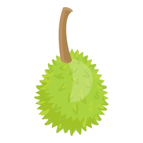 Premium Vector Whole Durian Icon Cartoon Vector Sweet Fruit Nature Food