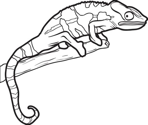 Printable Lizard Coloring Page for Kids #2 – SupplyMe